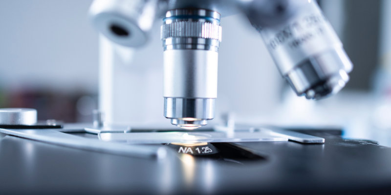 První rok realizace projektu